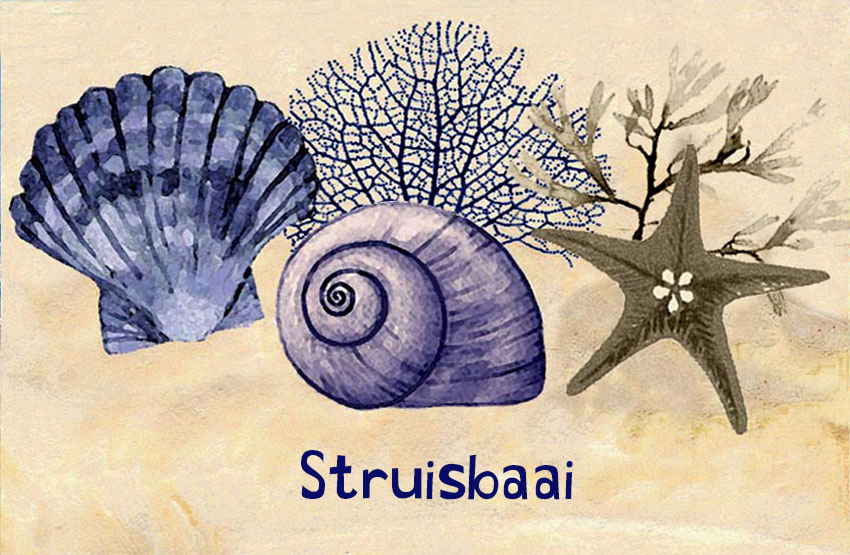Struisbaai Magnet 46