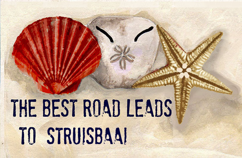 Struisbaai Magnet 48