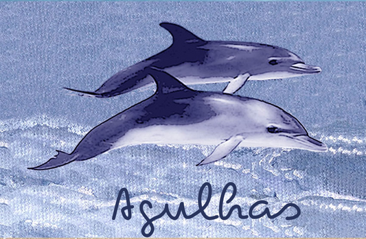 Lagulhas Magnet 83