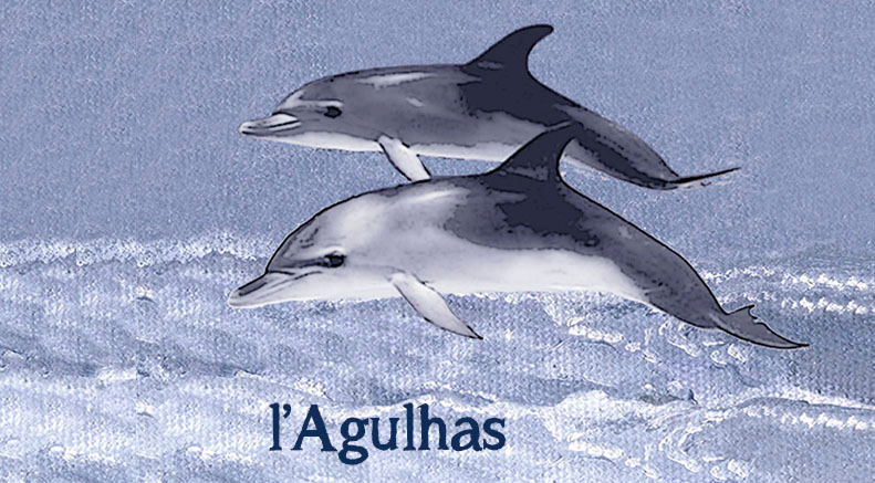 Lagulhas Keyring 28