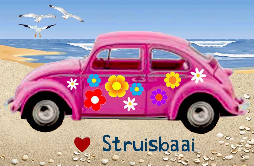Struisbaai Magnet 53