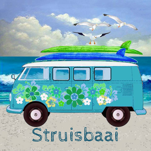 Struisbaai Coaster 25