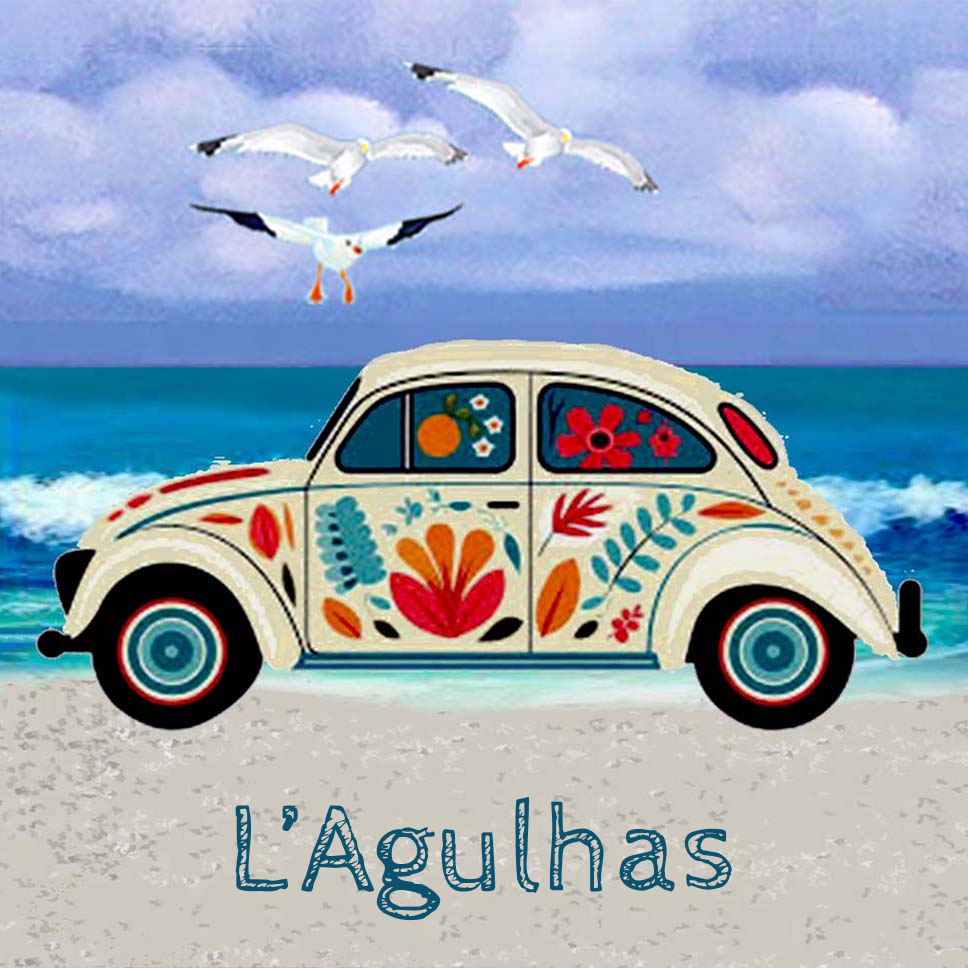 Lagulhas Coaster 35