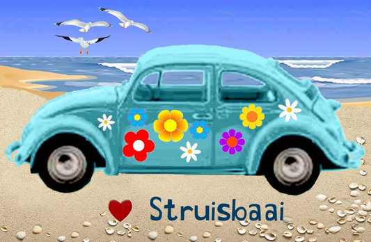 Struisbaai Magnet 54