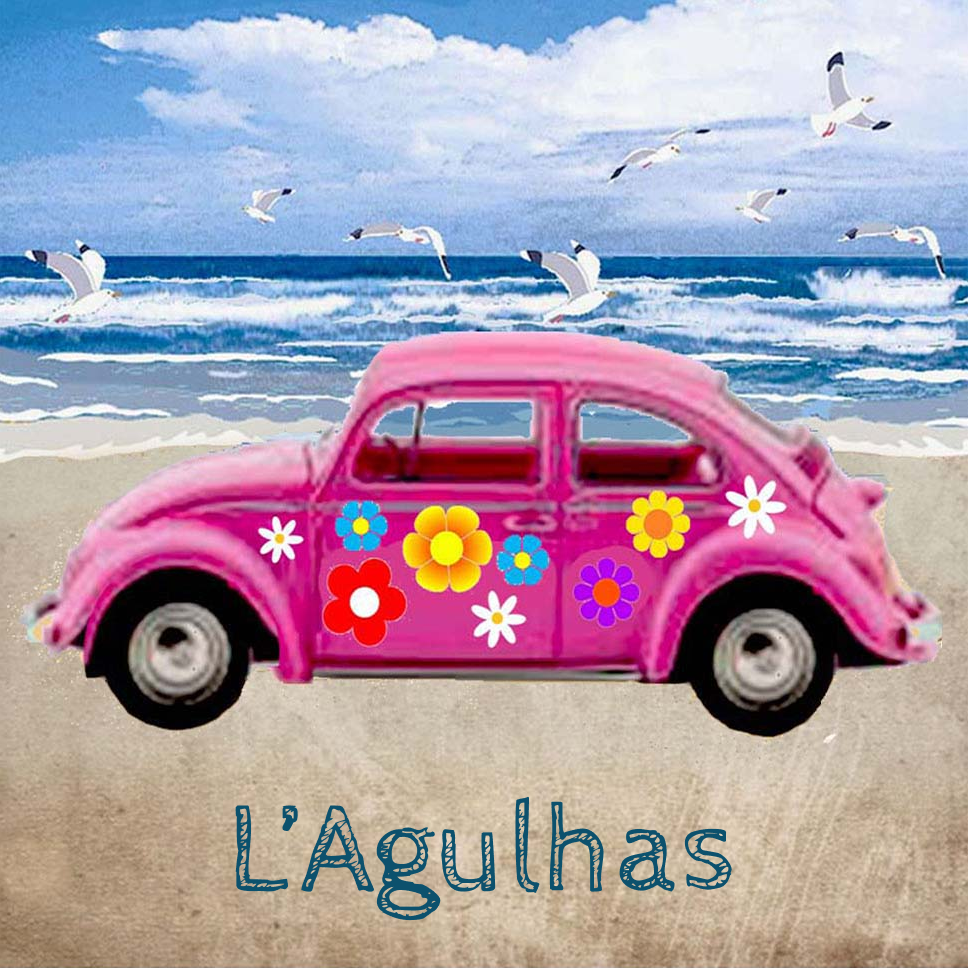Lagulhas Coaster 36