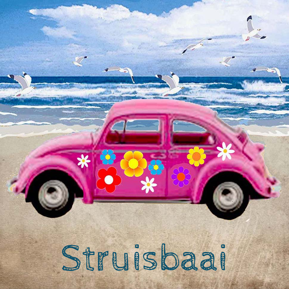 Struisbaai Coaster 27
