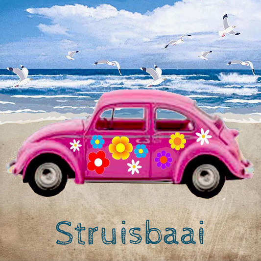 Struisbaai Coaster 27