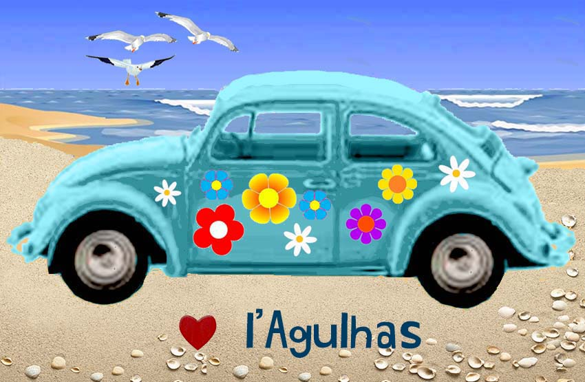 Lagulhas Magnet 91