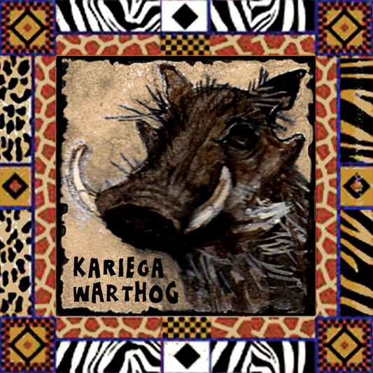 Kariega Magnet 21